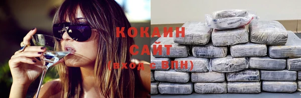 молекула духа Алексин