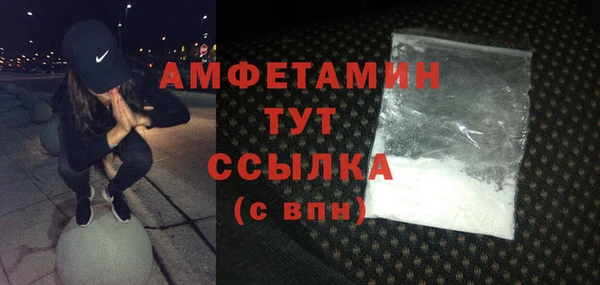 молекула духа Алексин