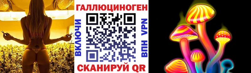 купить наркоту Коломна Псилоцибиновые грибы Magic Shrooms